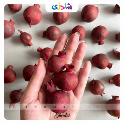 انار خشک یلدا 5عددی
